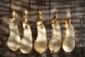 Sliced pears hung to dry on a rustic wooden background.