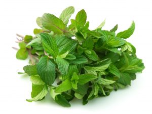 Fresh green mint leaves isolated on white